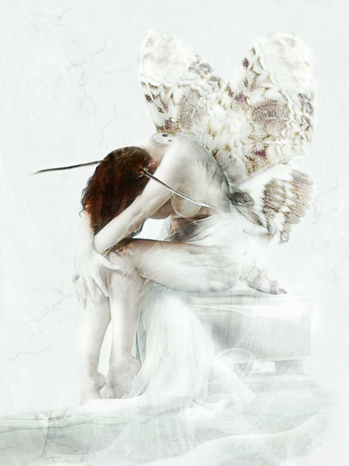 Moth Fairy Poster Print by Babette - Item # VARPDX82708