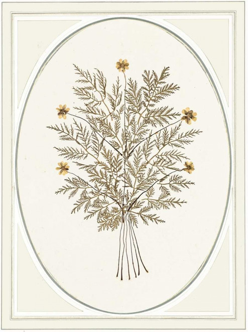 Gardenio Iv Poster Print by Anne Waltz - Item # VARPDXWE0083