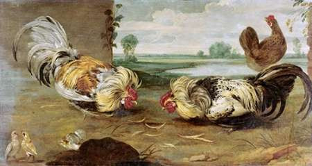 A Cock Fight Poster Print by Frans Snyders - Item # VARPDX267317
