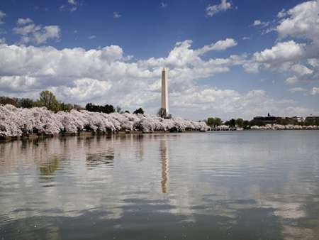 Washington Monument, Washington, D.C. Poster Print by Carol Highsmith - Item # VARPDX463258