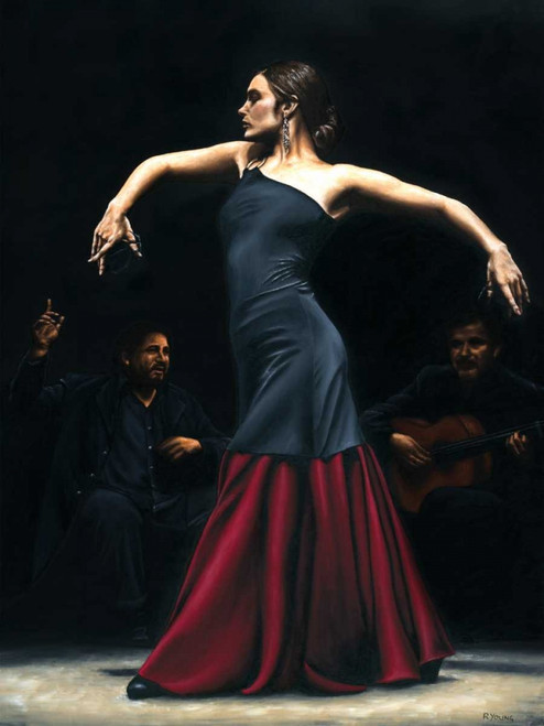 Encantado por flamenco Poster Print by Richard Young - Item # VARPDX3RY4024