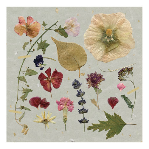 Pressed Assortment Poster Print by Carol Robinson - Item # VARPDX18952