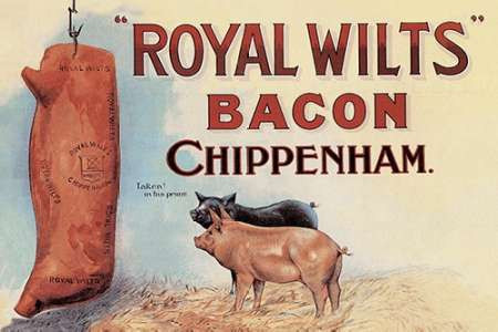 Pigs and Pork: Royal Wilts Bacon Poster Print by Advertisement - Item # VARPDX454869