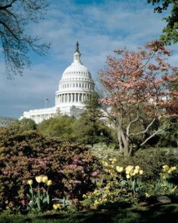 U.S. Capitol, Washington, D.C. Number 3 - Vintage Style Photo Tint Variant Poster Print by Carol Highsmith - Item # VARPDX463849