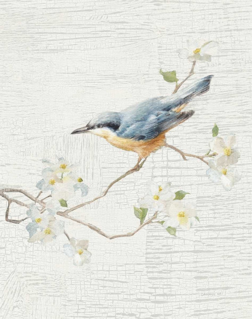 Nuthatch Vintage v2 Poster Print by Danhui Nai - Item # VARPDX32267
