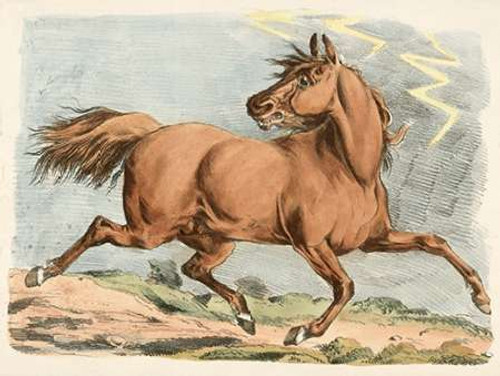 Brown Horse Running, 1817 Poster Print by Henry Thomas Alken - Item # VARPDX460403