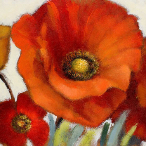 Poppy Splendor Square 1(Closeup) Poster Print by Lanie Loreth - Item # VARPDX7957A
