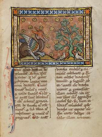 A Dragon Charging Two Doves Poster Print by Franco-Flemish 13th Century - Item # VARPDX454759