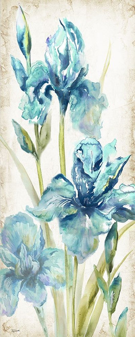Watercolor Iris Panel REV II Poster Print by Tre Sorelle Studios - Item # VARPDXRB11738TS