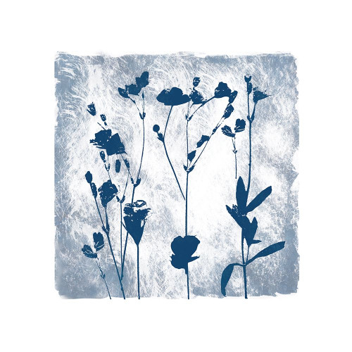 Indigo Summer Poster Print by Carol Robinson - Item # VARPDX18992