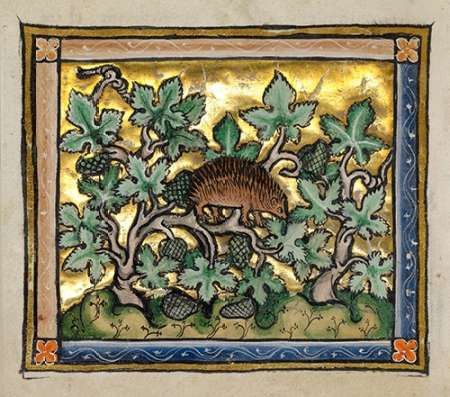 A Hedgehog Poster Print by Franco-Flemish 13th Century - Item # VARPDX454752