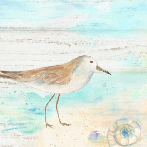 Sandpiper Beach III Poster Print by Cynthia Coulter - Item # VARPDXRB11884CC