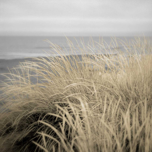 Tuscan Dunes #2A Poster Print by Alan Blaustein - Item # VARPDXB3437D