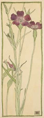 Corn Cockle Poster Print by Hannah Borger Overbeck - Item # VARPDX460108