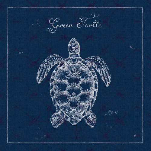 Underwater Life XVI Poster Print by Daphne Brissonnet - Item # VARPDX33472HR