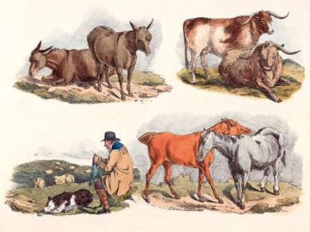 Knitting Shepherd, 1817 Poster Print by Henry Thomas Alken - Item # VARPDX460402