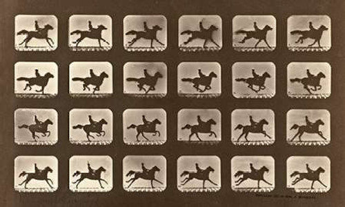 Motion Study: Man Riding A Galloping Horse Poster Print by Eadweard Muybridge - Item # VARPDX474188