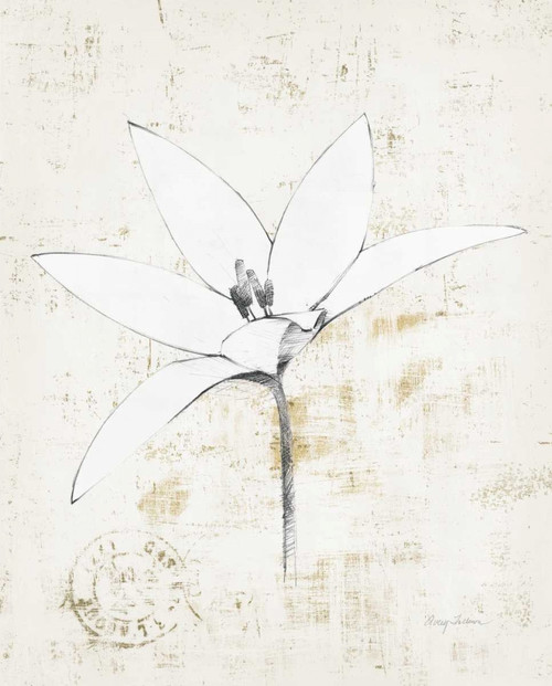 Pencil Floral XII Gold Poster Print by Avery Tillmon - Item # VARPDX19271