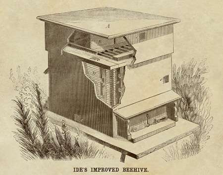 Ides Improved Beehive Poster Print by Inventions - Item # VARPDX376320
