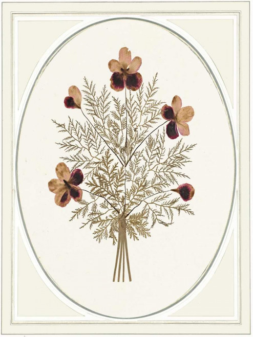 Gardenio Ii Poster Print by Anne Waltz - Item # VARPDXWE0079