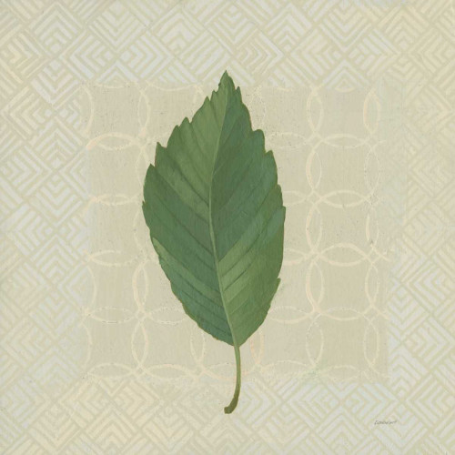 Forest Leaves III no Lines Poster Print by Kathrine Lovell - Item # VARPDX33733