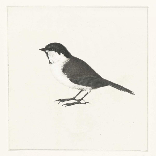 Birdy Ii Poster Print by Anne Waltz - Item # VARPDXWE0049