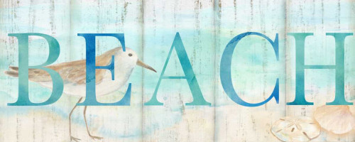 Beach Sandpiper Sign Poster Print by Cynthia Coulter - Item # VARPDXRB11888CC