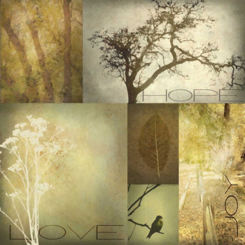 TREES Poster Print by Taylor Greene - Item # VARPDXTGSQ035A