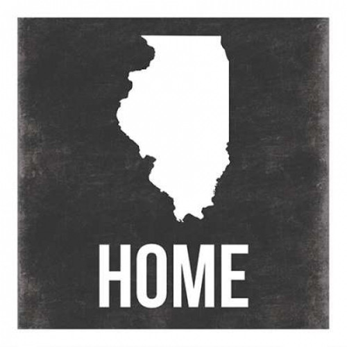 Illinois Poster Print by Jace Grey - Item # VARPDXJGSQ362H
