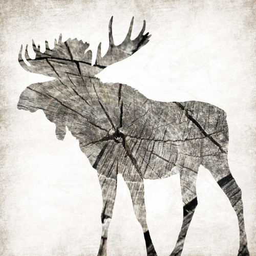Wood Moose Mate Poster Print by Jace Grey # JGSQ583B