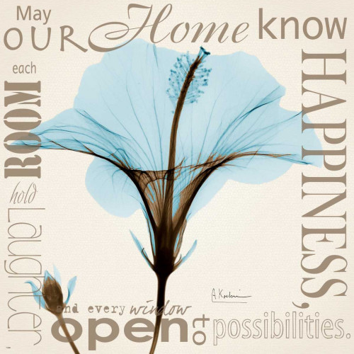 Hibiscus Home Poster Print by Albert Koetsier # AKXSQ341H