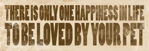 Dog Quotes Poster Print by Jace Grey - Item # VARPDXJGPL014E