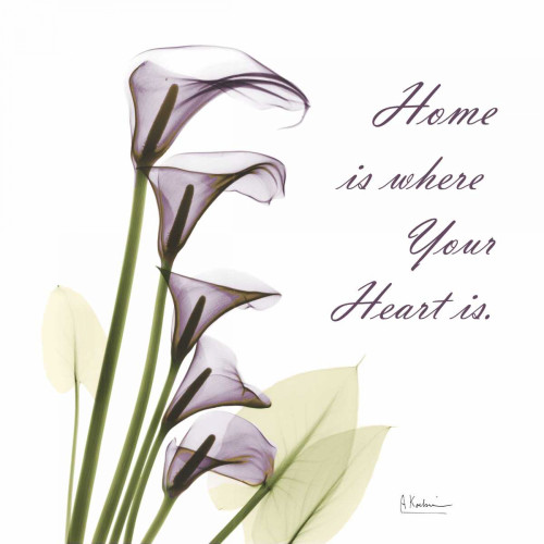 Calla Lilies Home Poster Print by Albert Koetsier # AK5SQ099K2