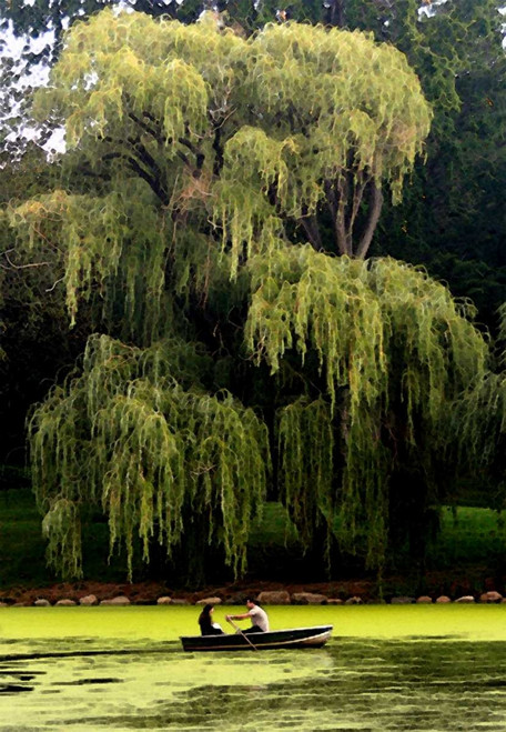 Central Park Couple Summer Poster Print by Jeff Pica # JPIRC039