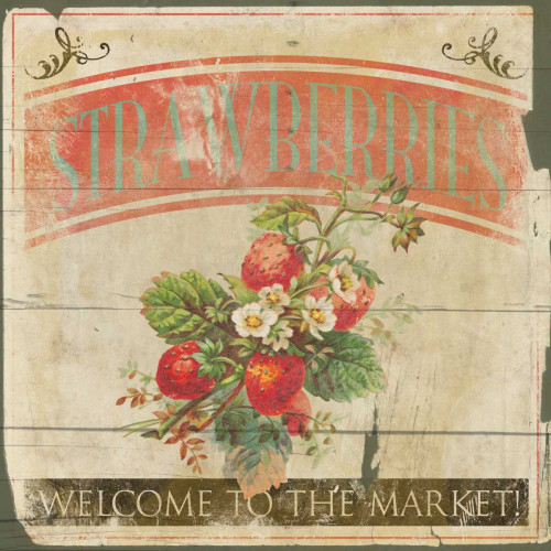 Strawberries Poster Print by Jace Grey # JGSQ036B