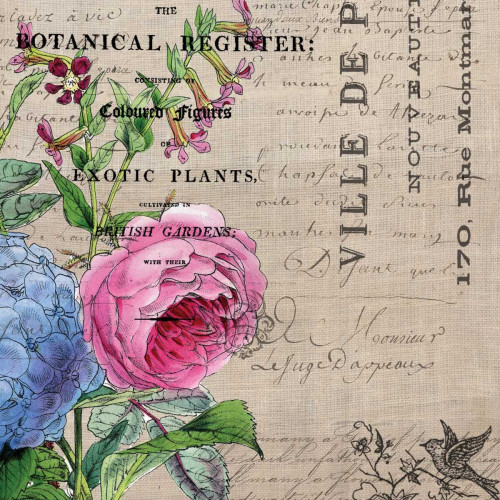 Botanical Register 1 Poster Print by Elizabeth Jordan - Item # VARPDXTRSQ137A