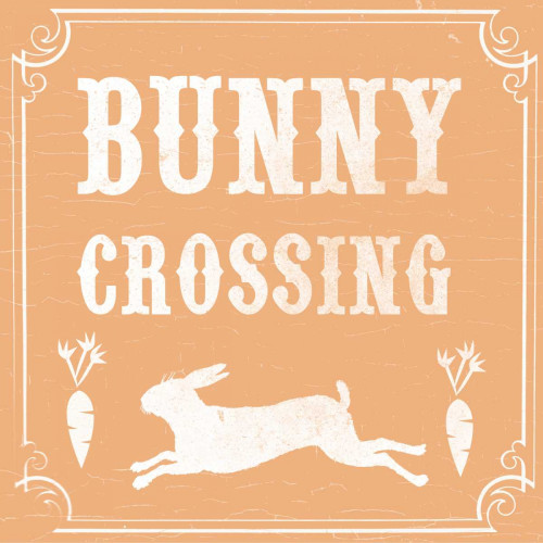 Bunny Crossing Poster Print by Candace Allen # QCASQ033B