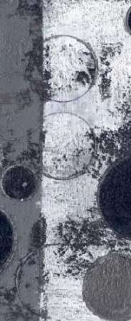 . Poster Print by Smith Haynes - Item # VARPDXSHPL135