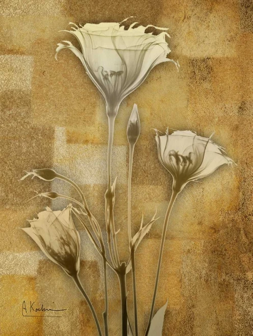Zenfully Golden 2 Poster Print by Albert Koetsier # AK8RC046B