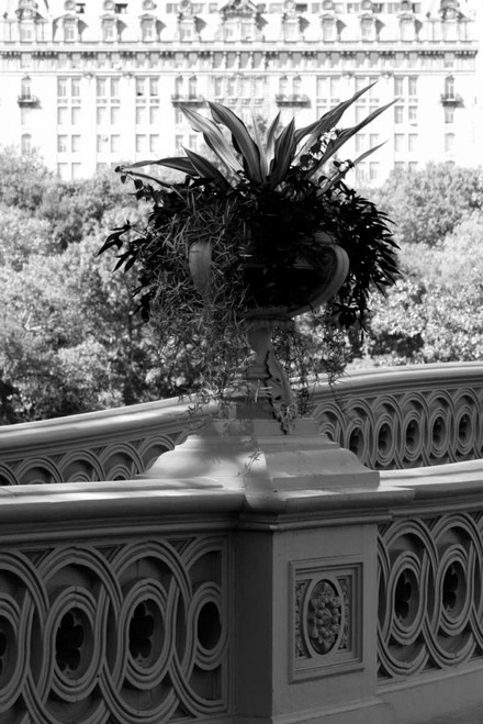 Central Park Bridge 5 Poster Print by Jace Grey - Item # VARPDXJPIRC013F