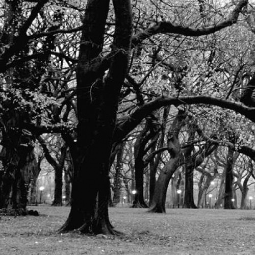 Central Park 2A Poster Print by Jace Grey - Item # VARPDXJPISQ001A