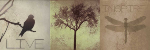 SIlhouette Beauty  F Poster Print by Taylor Greene - Item # VARPDXTG5PL002F