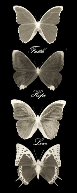 Hope Faith Love Butterflies 2 Poster Print by Taylor Greene - Item # VARPDXTGPL011B