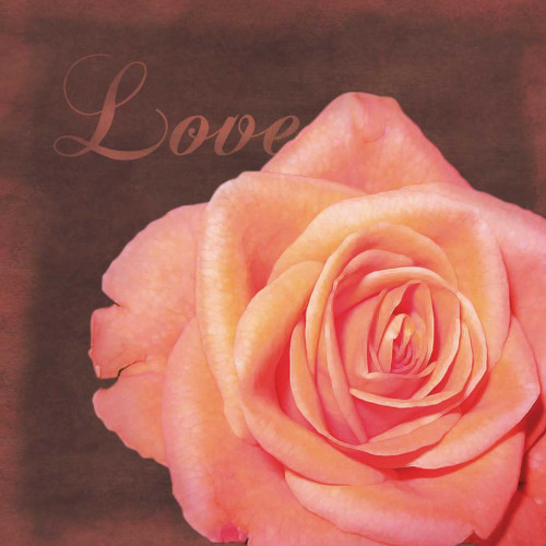 Love Rose Poster Print by Lauren Gibbons - Item # VARPDXGLSQ019E2