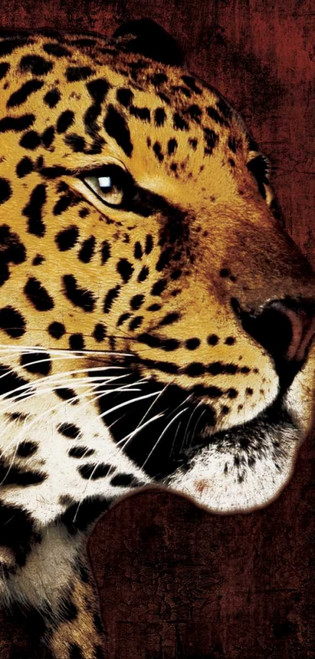 leopard Poster Print by Jace Grey - Item # VARPDXJGPL066A