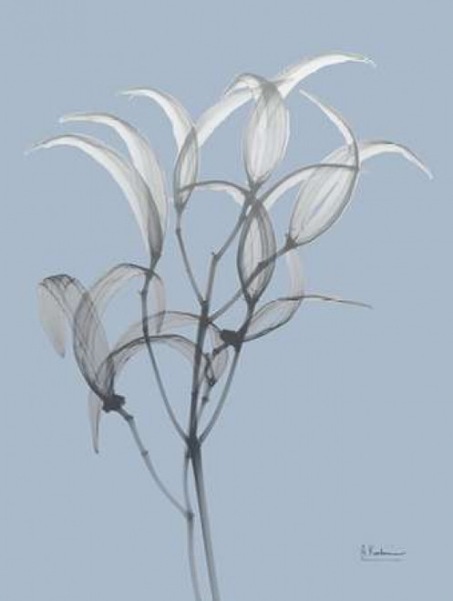 Skyway Oleander Bush Poster Print by Albert Koetsier