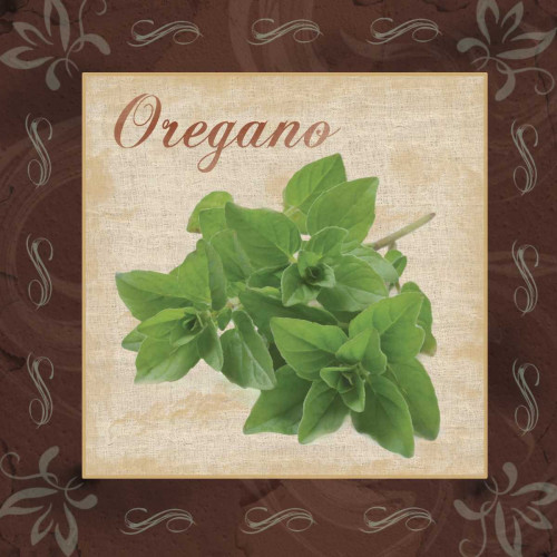 Oregano Poster Print by Lauren Gibbons # GLSQ036B