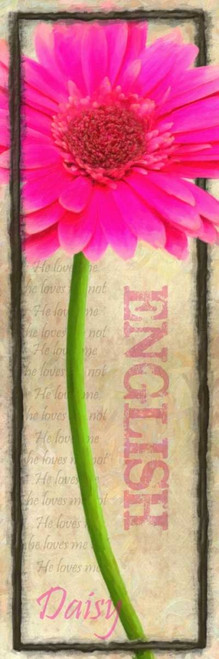 ENGLISH DAISY Poster Print by Taylor Greene - Item # VARPDXTGPL075A