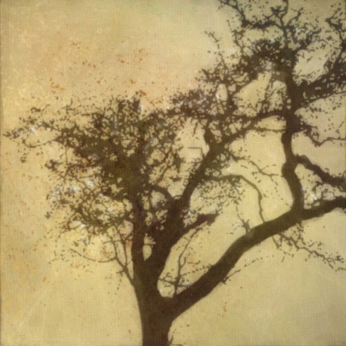 Silo Beauty Tree Poster Print by Taylor Greene - Item # VARPDXTGSQ061F