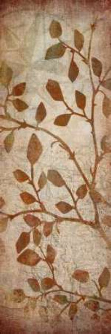 Leaves Map II Poster Print by Kristin Emery - Item # VARPDXKEPL041B